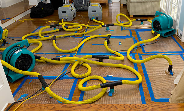 Professional Burst Pipe Water Damage technician working in Bethel, ME